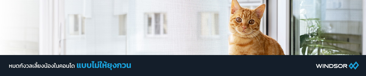 Banner_Desktop_WINDSOR_หมดกังวล_เลี้ยงสัตว์ในคอนโด.jpg