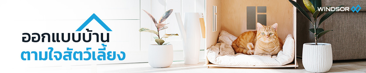 Banner_Desktop_WINDSOR_ออกแบบบ้านอย่างไรให้ปลอดภัยต่อสัตว์เลี้ยง.jpg