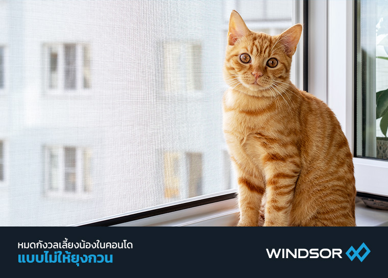 Banner_MobileWINDSOR_หมดกังวล_เลี้ยงสัตว์ในคอนโด.jpg